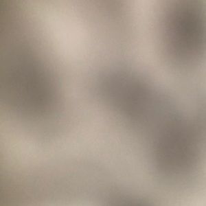 Meet your Posher, Azucena